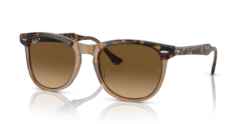 Havana On Transparent Brown