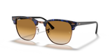 Brown & Blue  - Light Brown Gradient