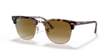 Pink Havana  - Light Brown Gradient