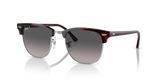Red Havana  - Grey