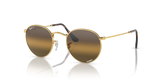 Arista Gold  - Silver/Brown
