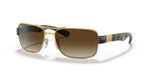 Arista Gold