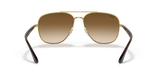 Arista Gold