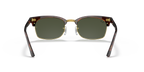 Tortoise