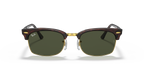 Tortoise