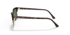 Tortoise