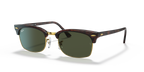 Tortoise