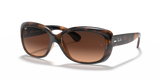 Havana  - Pink/Brown Gradient
