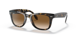 Light Havana  - Light Brown Gradient