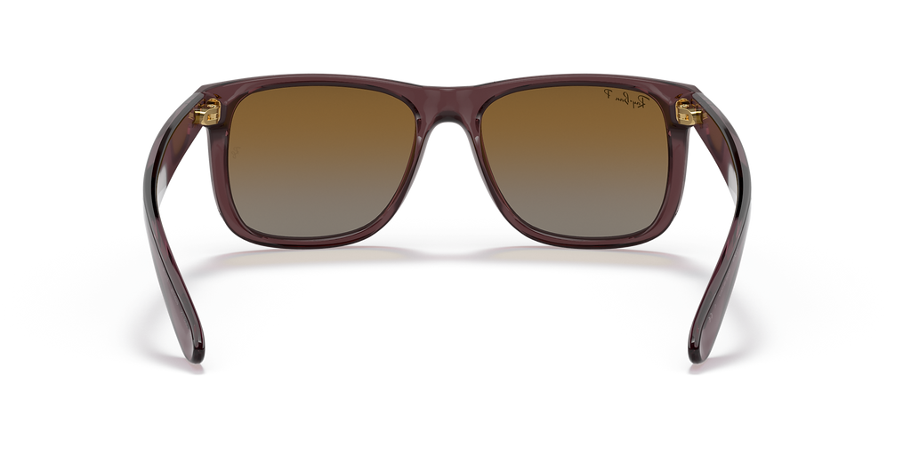 Transparent Dark Brown