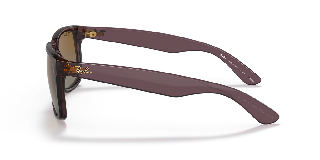 Transparent Dark Brown