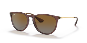 Transparent Dark Brown