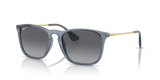 Transparent Blue  - Grey