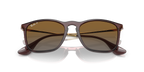 Transparent Brown