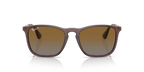 Transparent Brown