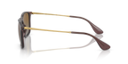 Transparent Brown
