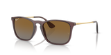 Transparent Brown  - Brown