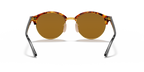 Brown Havana