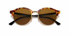 Brown Havana