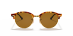 Brown Havana