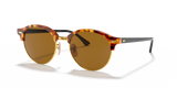 Brown Havana  - B15 Brown