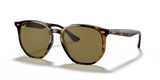 Light Havana  - B15 Brown