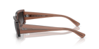 Transparent Brown