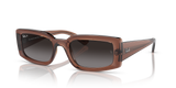 Transparent Brown  - Grey