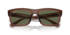 Transparent Brown