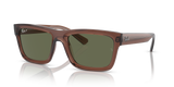 Transparent Brown