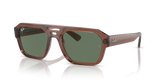 Transparent Brown