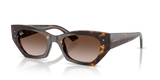 Havana  - Gradient Brown
