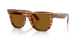 Striped Havana  - Polar Dark Brown