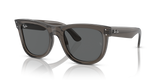 Transparent Dark Grey  - Dark Grey