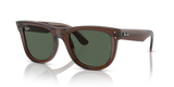 Transparent Brown  - Dark Green