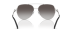 Shiny Silver