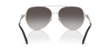 Shiny Silver