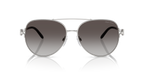 Shiny Silver