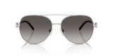 Shiny Silver