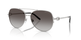 Shiny Silver