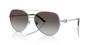 Shiny Silver - Gradient Grey