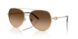Shiny Pale Gold - Gradient Brown