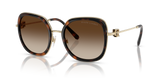 Dark Havana - Gradient Brown