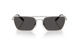 Shiny Silver