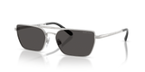 Shiny Silver