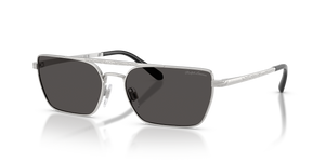 Shiny Silver - Dark Grey