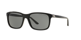 Shiny Black