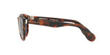 Shiny Jerry Havana