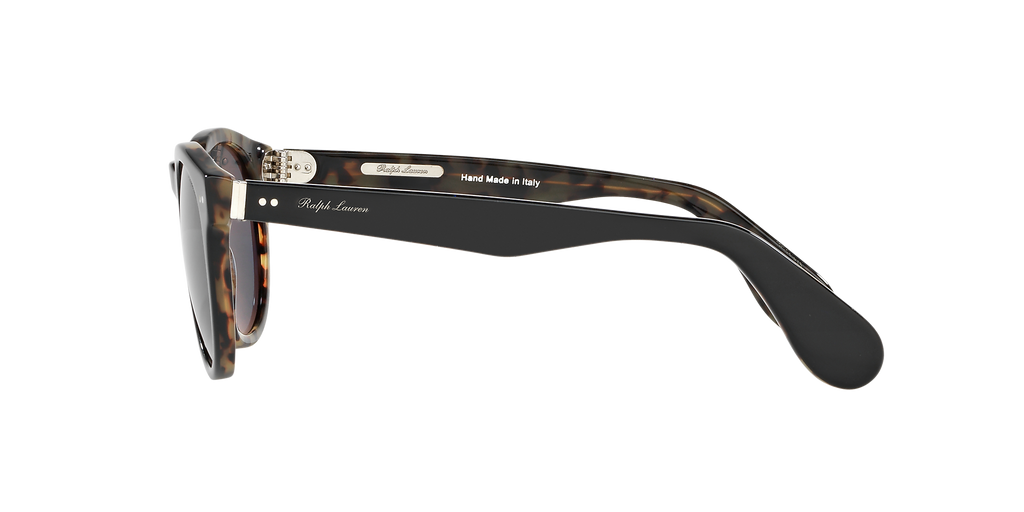 Shiny Black On Spotty Havana