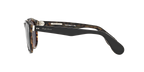 Shiny Black On Spotty Havana